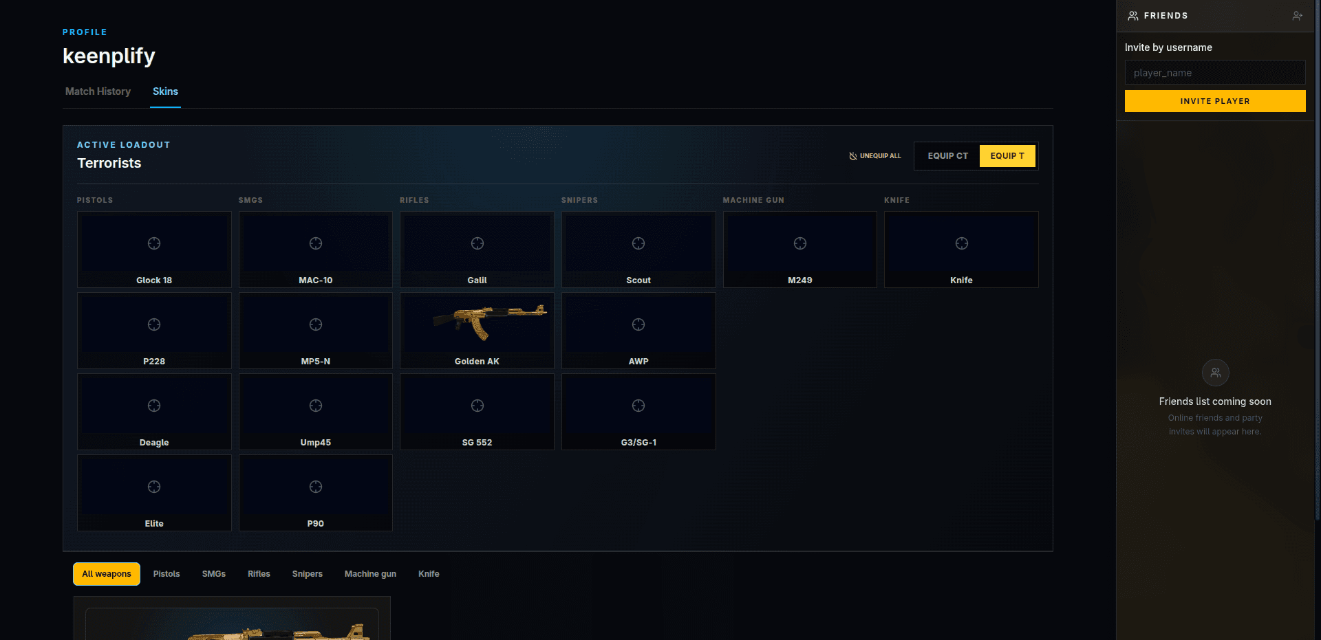 Weapon loadout and skins interface